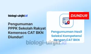 Pengumuman PPPK Kemensos Sekolah Rakyat 2026 CAT BKN Diundur, Peserta Menunggu BKN